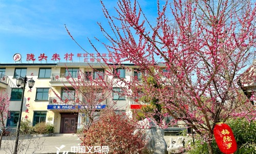 白花蛇舌草功能主治每天用多少克-白花蛇舌草的功能主治网- 白花蛇舌草的功能与主治知识,分享白花蛇舌草的功能主治是