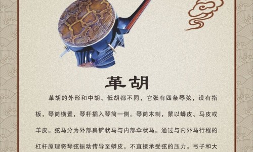 白花蛇舌草功能主治肠痈-白花蛇舌草的功能主治网- 白花蛇舌草的功能与主治知识,分享白花蛇舌草的功能主治是